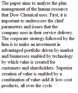 Human Resources _Strategic HRM Plan